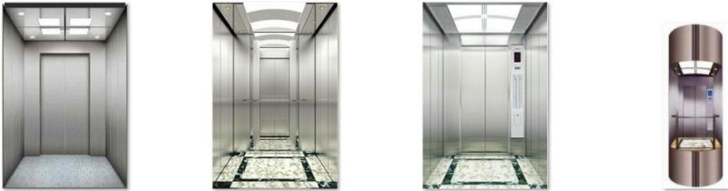 Standard Customized APSL Residential Building Passenger Elevator Lift Price