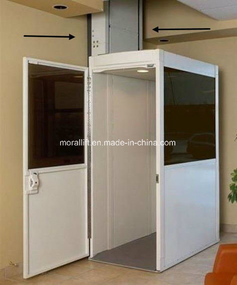 Mini Home Elevator Stair Climbing Disabled Wheelchair Lift (VWL)
