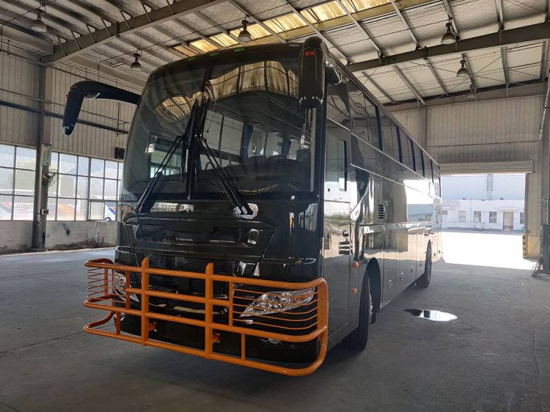 Public Transport Big Luxury Interior Diesel 12m Bus for Transportation