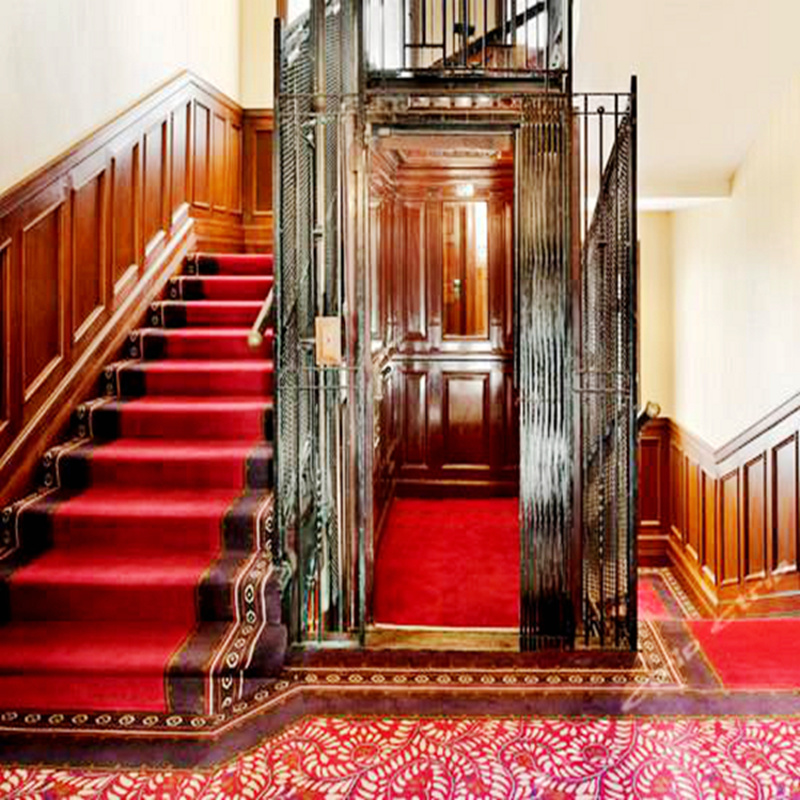 250/320/400kg Luxury Villa elevator Home residential house passenger elevator lift price