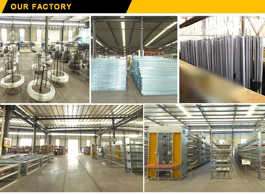 Design Modern Automatic Poultry Farming Equipment Galvanized Chicken Battery Cage for Layer Hen Egg Chicken