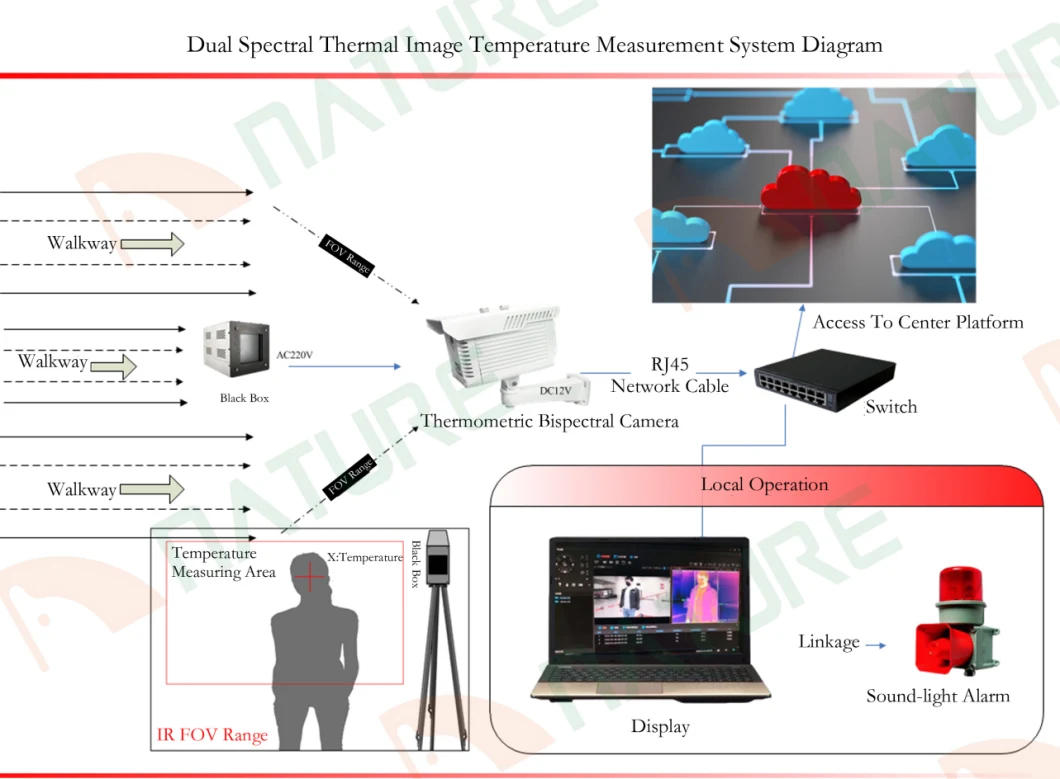 Dual Spectral Thermal Body Temperature Measurement IP Camera System Thermal Temperature Camera