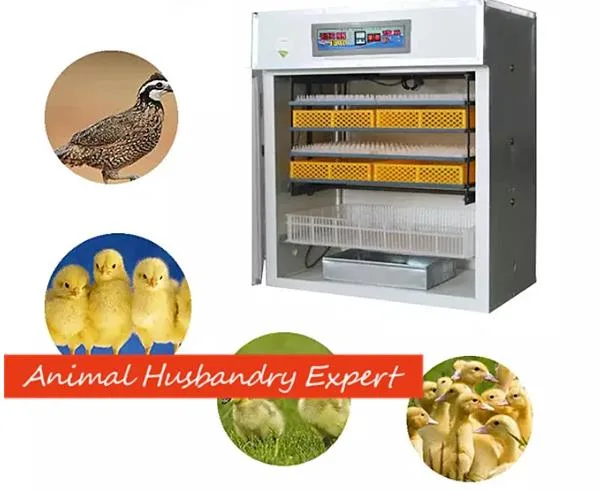 Customized Large Capacity Automatic Poultry/Chicken/Quail/Duck/Goose/Ostrich/Pigeon Egg Incubator