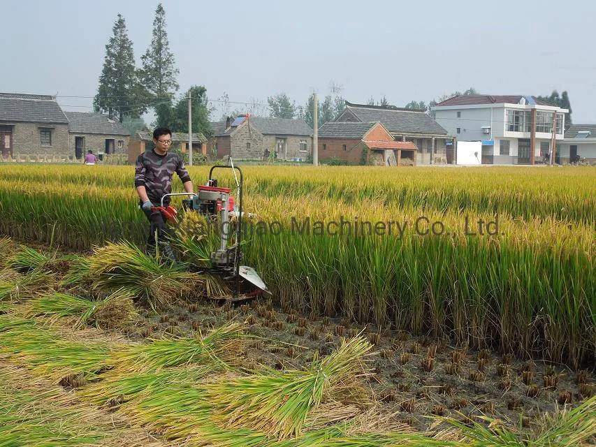 Small Hand-Held Self-Propelled Rice Wheat Sesame Soybean Mini Grain Harvester