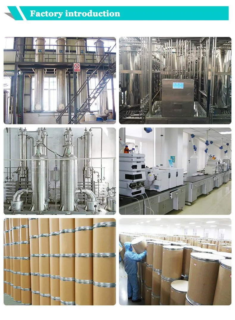Factory Supply 100% Natural Ganoderma Lucidum Extract/Reishi Mushroom Powder Extract
