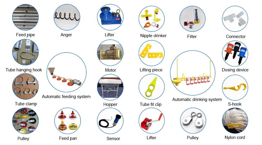 Breeder Pan Feeding System Equipments for Poultry Farms