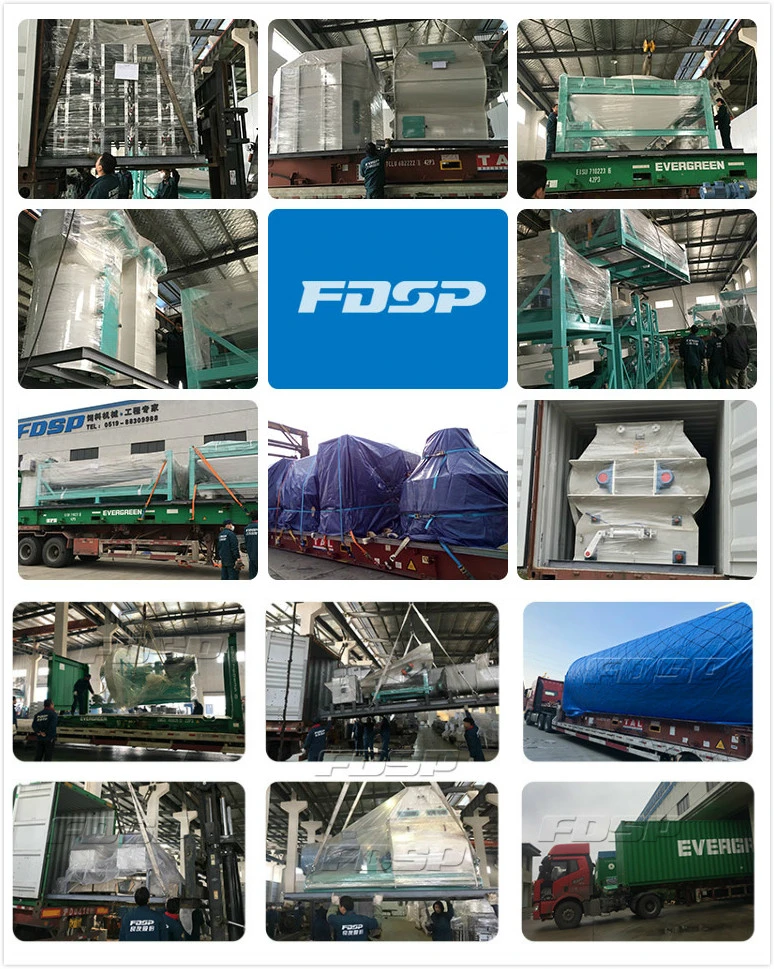 Agro Processing Equipment _Piglet Feed Production Line for Sale (SKJZ4800)