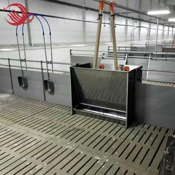 Automatic Pig Farm Steel Stainless Feeder Feeding Trough