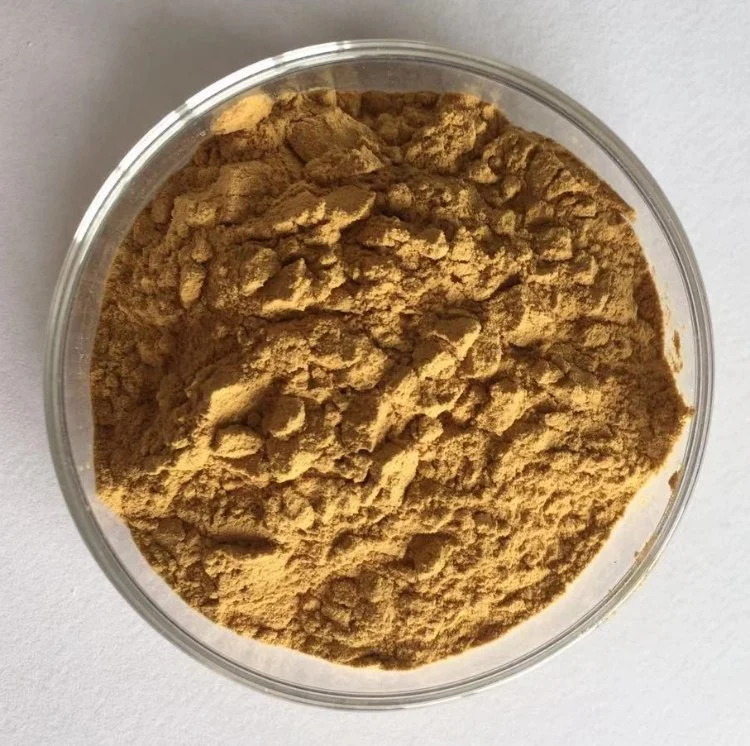 Lions Mane Mushroom Extract Powder 30% Beta Glucan