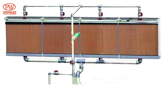 Pullet Rearing Cage Automatic Feeding and Drinking System, H-Type Cage