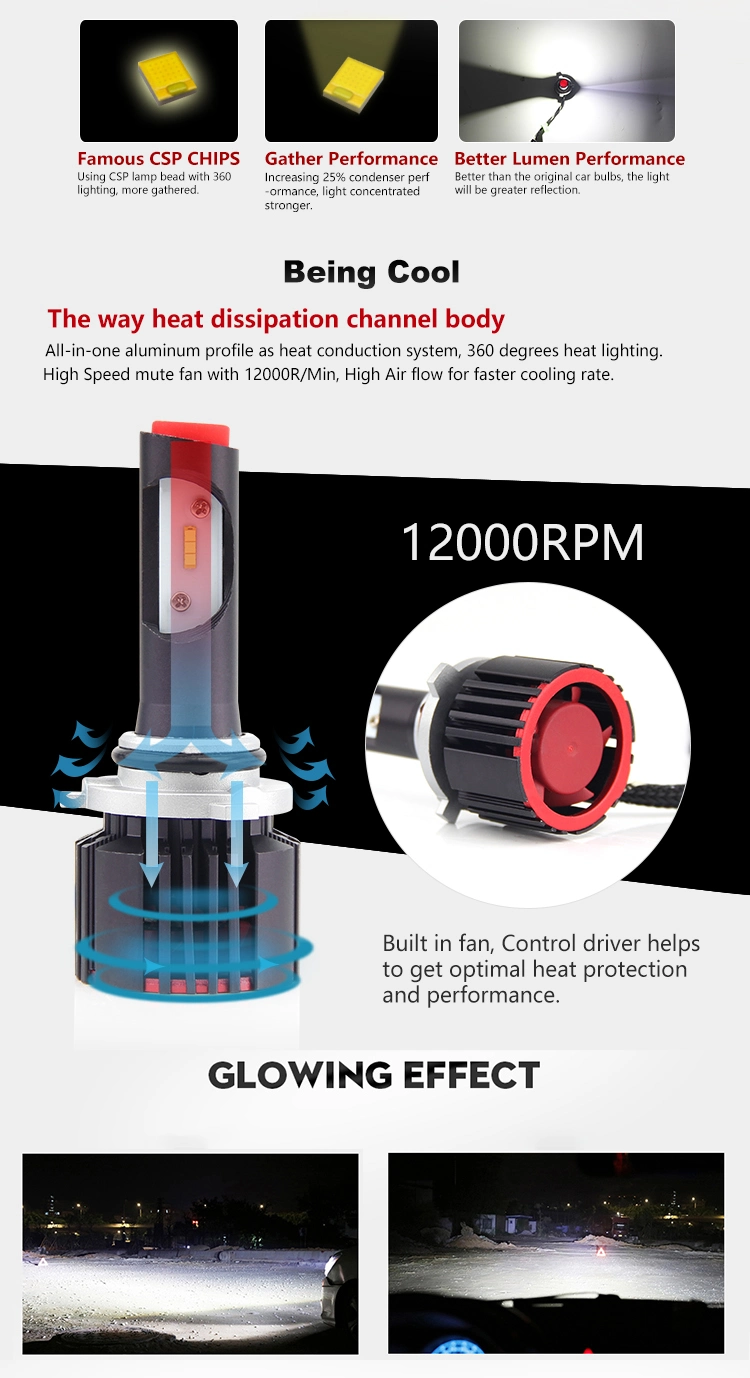 Cooling Fan Import Csp Chips Car LED Light 16000lm 100W LED Headlight Bulb