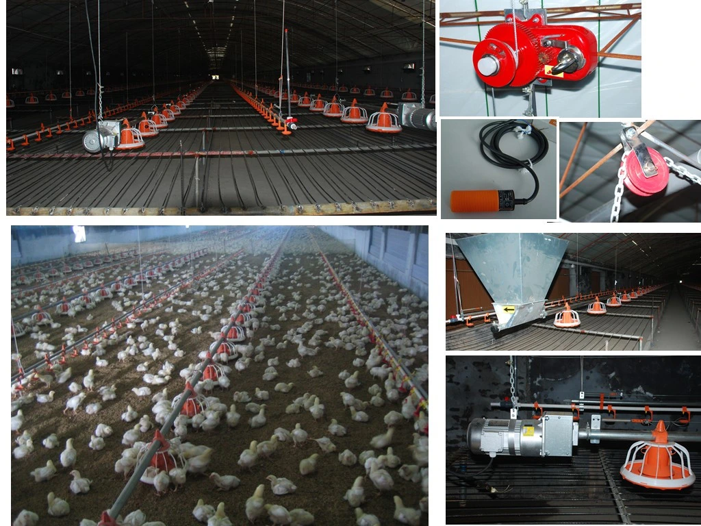Automatic Poultry Farm Equipment Feeding and Nipple Drinking System