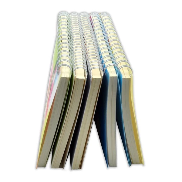 Chinese Supplier Spiral Bound Notebook with Color Pages