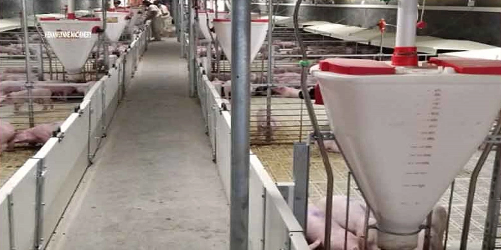 100kg Automatic Cylinder Plastic Wild Pig Smart Feeder for Piglets