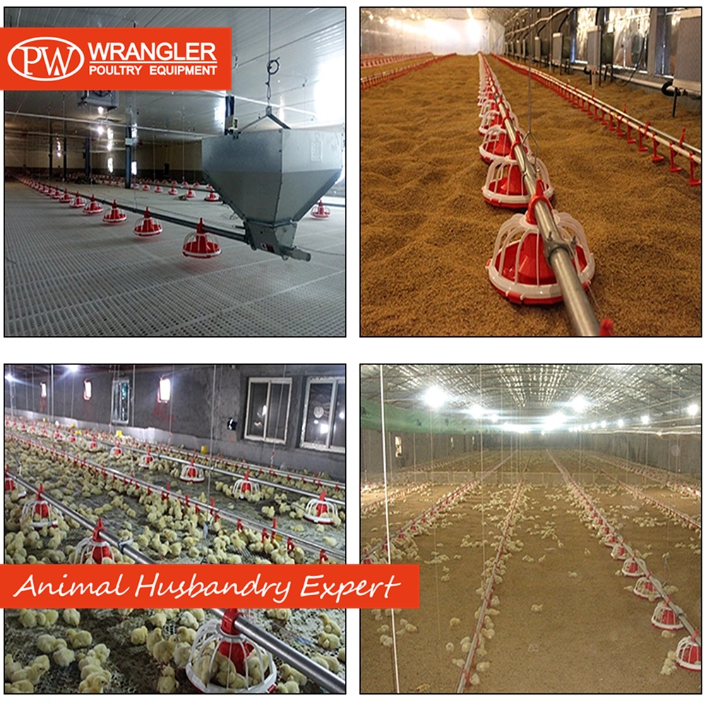 Chicken Farm House Automatic Pan Feeder / Broiler Feed Auger Breeding Equipment