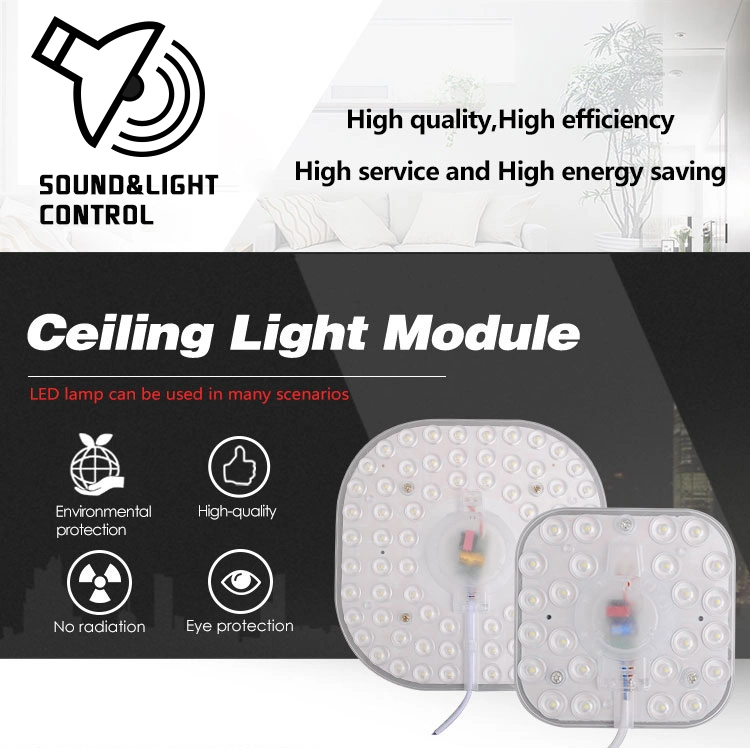 LED Module Source Ceiling Lamp Indoor High Brightness Lighting Ceiling Light Acoustic Light Control