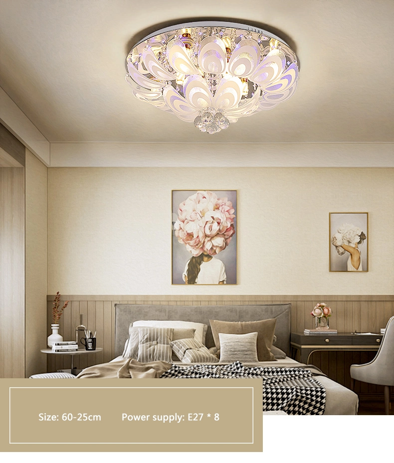 Modern Living Room LED Ceiling Lights Indoor Lighting Ceiling Acrylic Lamp E27 Decoration