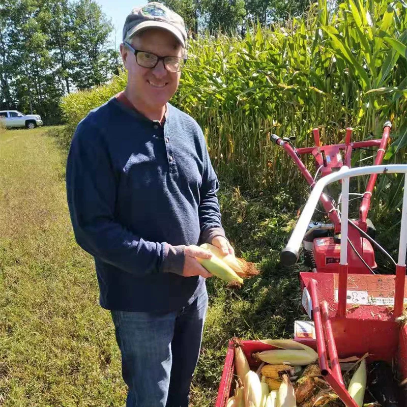 Mini Corn Combine Harvester Corn Harvester and Peeler Machine Straw Smash