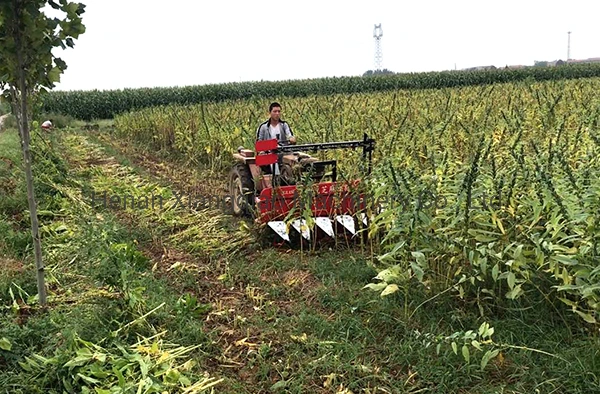 Small Type Grain Harvester Mini Grain Harvester Manual Grain Harvester