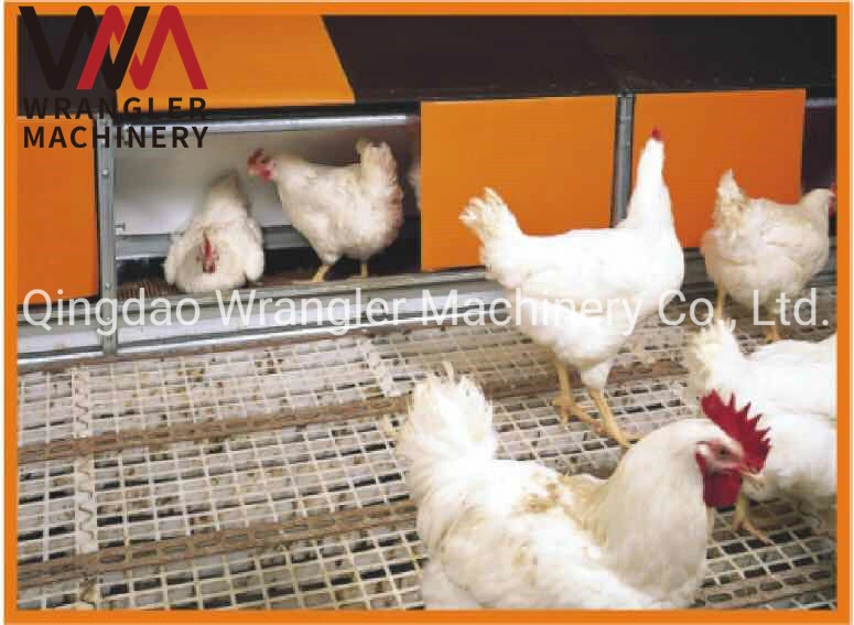 Chicken Farms Automatic Egg Nest for Laying Hen/Egg Automatic Collection Equipment