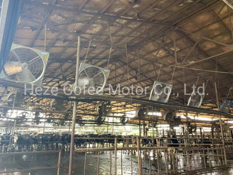 Ceiling Hanging Fan Ventilation for Poultry Houses