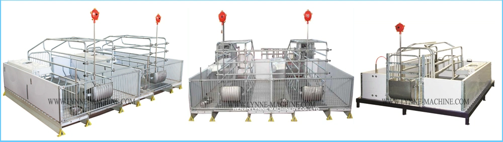 Automatic Metal Pig Hog Trough Feeder with 304 Stainless Steel for Sale