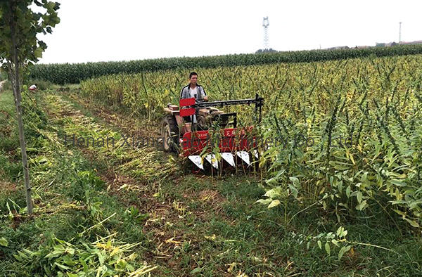 Diesel Engine Wheat Rice Mini Harvester Hand-Held Harvester Mini Harvester