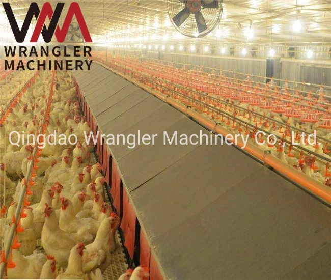 Chicken Farms Automatic Egg Nest for Laying Hen/Egg Automatic Collection Equipment