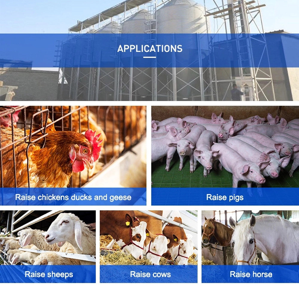 Pig Feed Silo Chicken Feed Silo Automatic Feeding System Silo