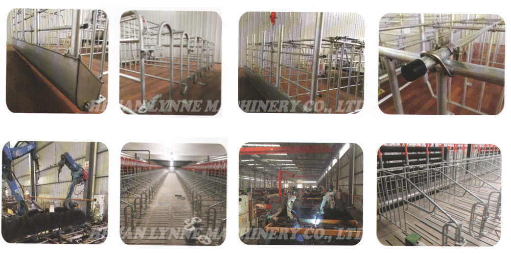Plastic Hopper Automatic Dry and Wet Feeder for Pig Farm Equipment