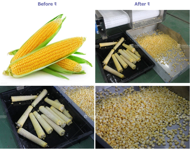 Large Capacity Automatic Sweet Corn Thresher Peeler Cutting Machines Line