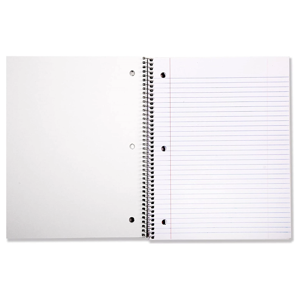 China Supplier School A6 Agenda Kraft Paper Cover A4 Notepad A5 Planner Cheap Spiral Notebook