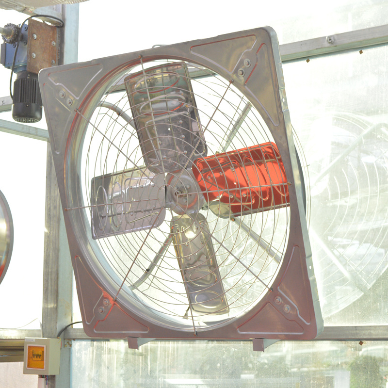 House Hanging Metal Fan/Axial Flow Fan/Poultry Farm Exhaust Fan