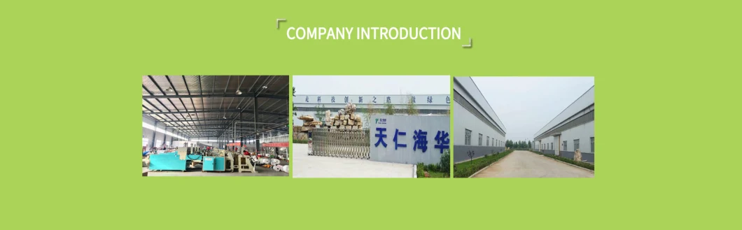 100% Biodegradable Corn Starch Plastic Grocery Carry Packaging Manufacturer Compostable Shopping Bags