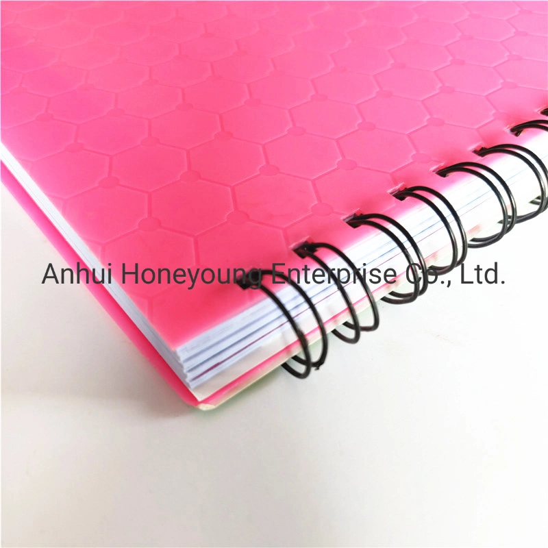 B5/A5/A6 Size 120sheets Note Book Plastic Cover Spiral Notebook