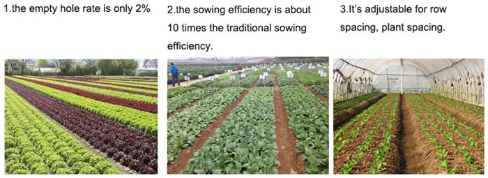 Universal Seeder/Onion Seeder/Carrot Seed Planter/Vegetable Seed Machine