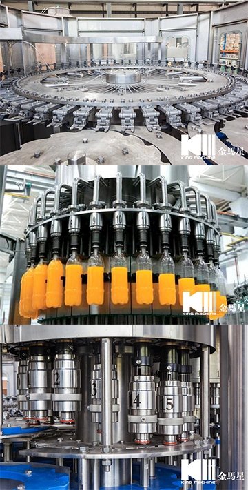 Orange Juice Making Machine/Pineapple Juice Making Machine/Plastic Bottle Making Machine