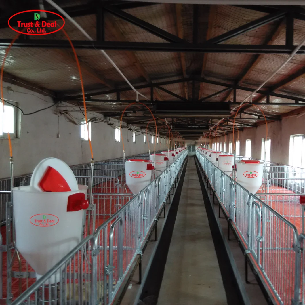 Stainless Steel Wet Dry Feeder Pig Feeder for Pig Farm Equipment Livestock Equipment