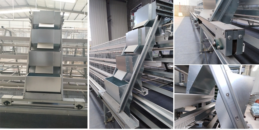 Poultry Farming Equipment a Type Layer Cages with Automatic Feeding System