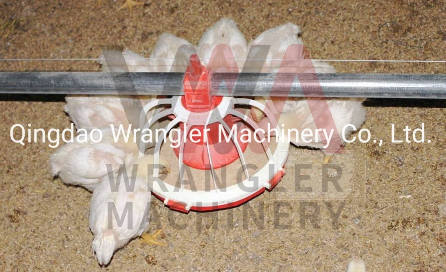 Automatic Poultry Pan Feeder Equipment for Chicken Farm