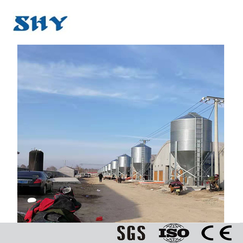 Customized Poultry and Pig Farm Feeding Line Feed Silo