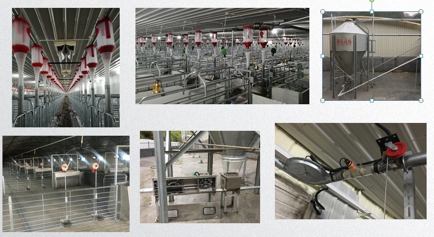 High Quality Pig Farm Breeding Equipment Gestation Stall/Crate