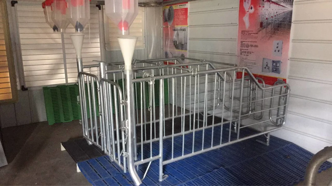 Pig Farm Equipment Gestation Crate Sow Cage