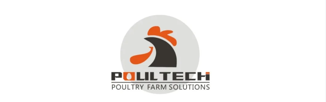 Chicken Raising Equipment Layer Poultry Cage and Equipment