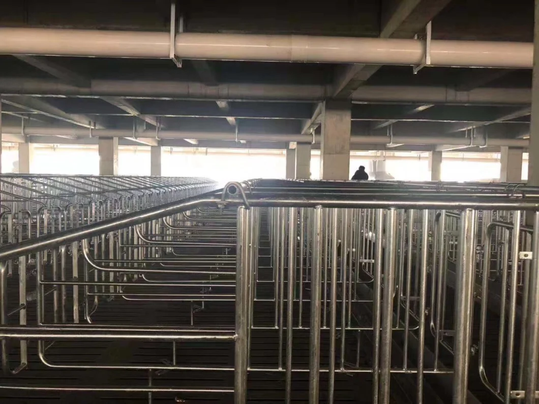 High Quality Pig Farm Breeding Equipment Gestation Stall/Crate