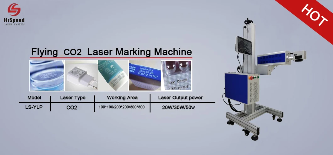 20W Qr Code Marking Flying Laser Printing Machine for Fabric 30W