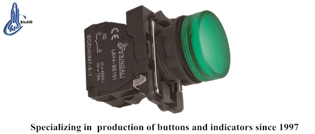 Lay4-EV63 22mm Plastic Push Light Green LED Indicator Push Button Switch