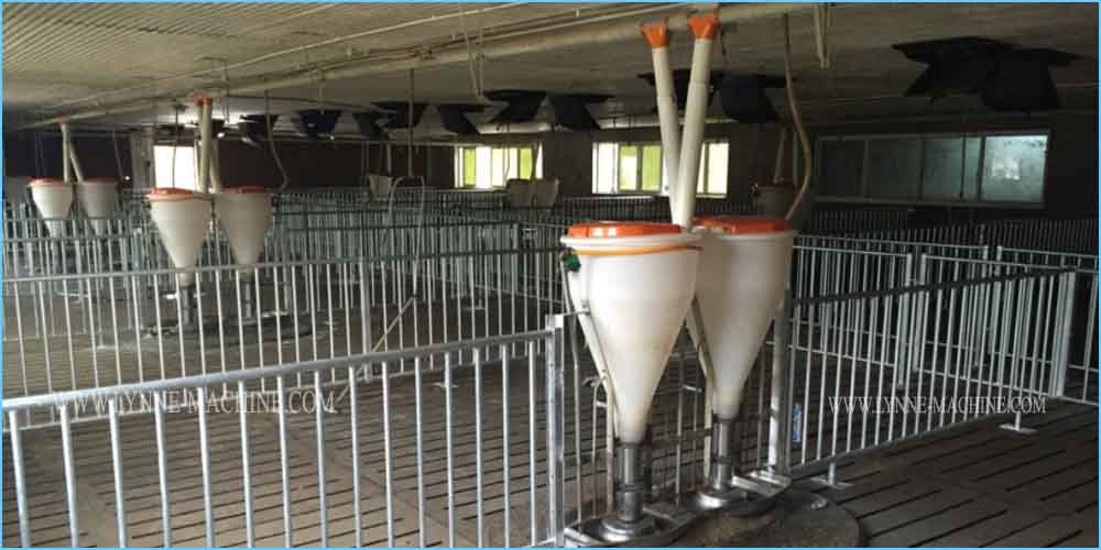 Plastic Hopper Automatic Dry and Wet Feeder for Pig Farm Equipment