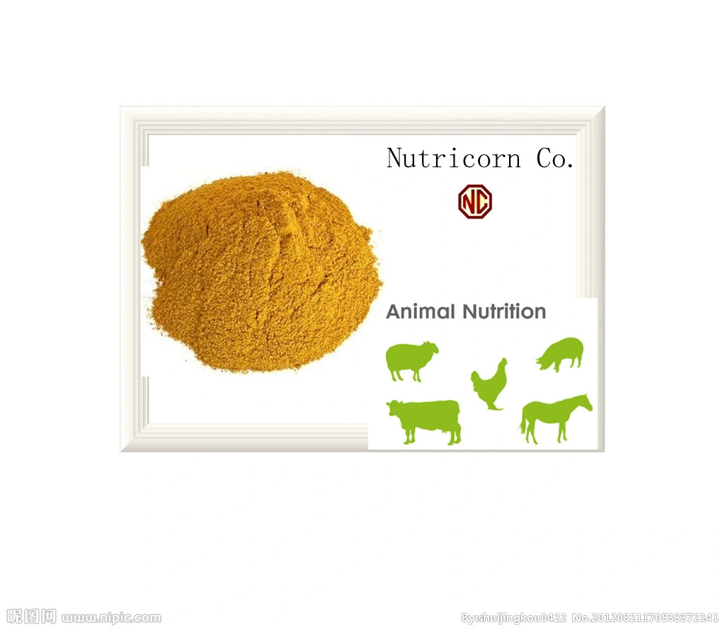 Animal Feed Additives Corn Gluten Meal 60% Protein for Chicken Pig Cow Feed