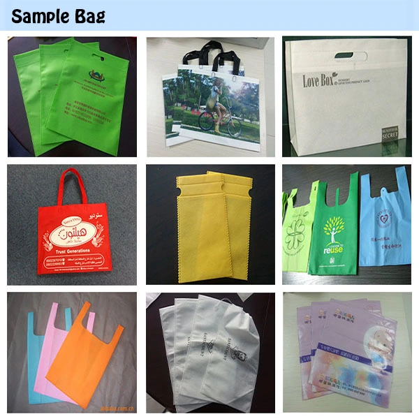 Non Woven Fabric Bag Making Machine (HBL-C 600/700/800)